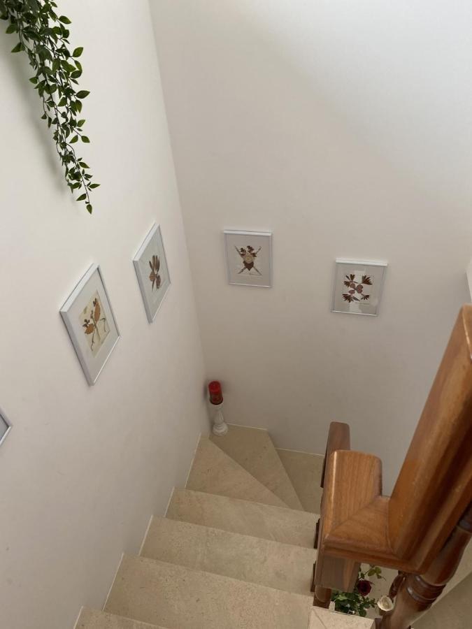 Ferienwohnung Casa Da Avo Fatima Góis Exterior foto